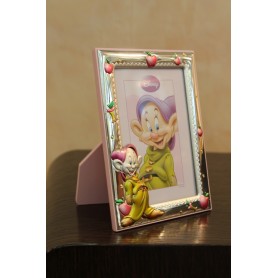 WS0110 frame Ardè/2R