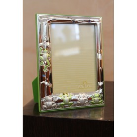 MIDA/20 frame 160609