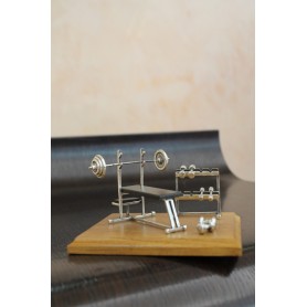 Opera Arti & Mestieri: Personal Trainer 1293